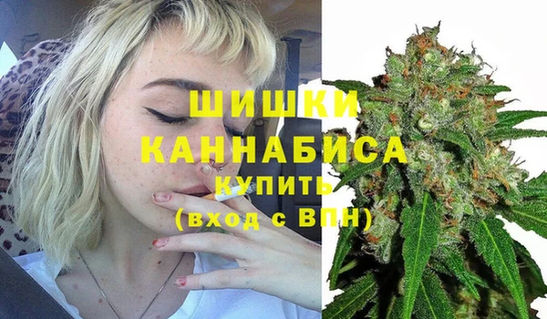 винт Арсеньев