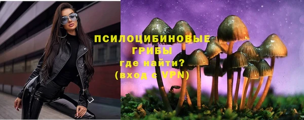 ECSTASY Няндома